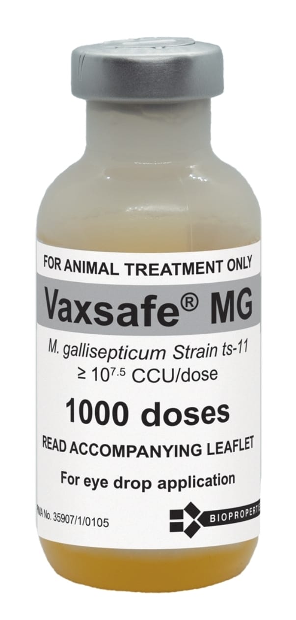 تقنيات تصنيع اللقاحات الحديثة وضمان الجودة في القطاع البيطري